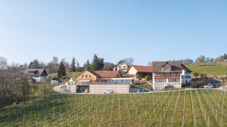 Holzverkleidetes Weingut mit Riegelhaus an Rebberg