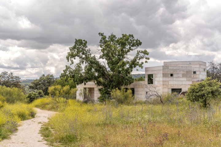 Ein modernes, helles Betonhaus mit X-förmigem Grundriss steht in einer wilden Wiese mit gelben Blumen unter einem bewölkten Himmel. Ein schmaler Pfad führt im Vordergrund am Haus vorbei.