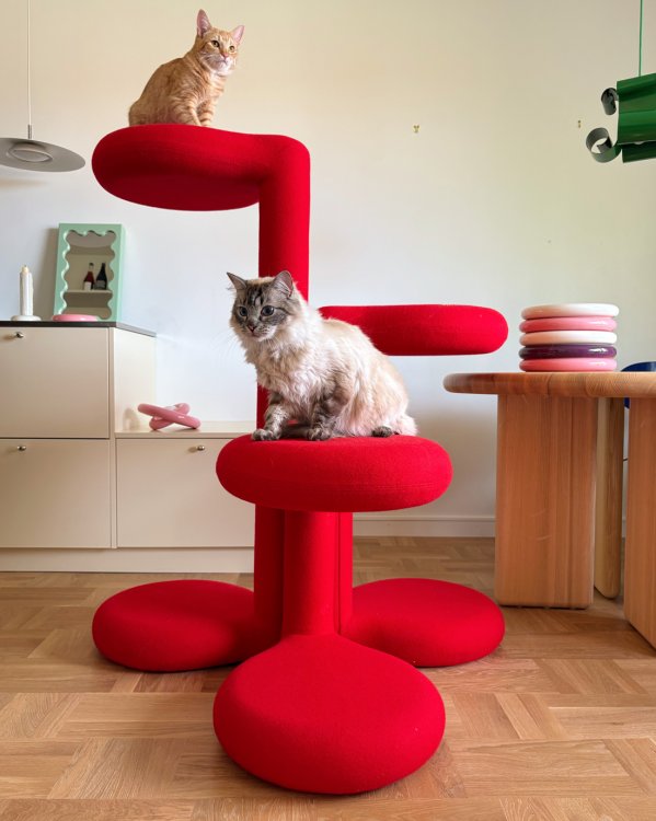 Zwei Katzen sitzen auf einem roten, skulpturalen Stuhl in einem hellen Raum mit farbenfrohen Designobjekten.