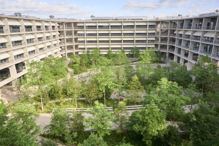 Blick von oben in den grossen, dicht bepflanzten Innenhof eines modernen Bürogebäudes. Viele junge Bäume, Büsche und Grünflächen bilden eine Oase zwischen den u-förmig angeordneten Gebäudeflügeln mit Beton- und Glasfassade. Im Hof sind Wege und Sitzbänke zu erkennen.