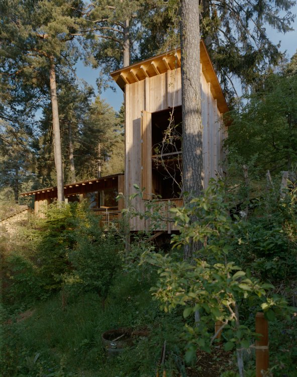 Raum im Wald in Trin Digg: Kleines Holzhaus mit zweigeschossigem Raum, eingebettet zwischen hohen Bäumen und dichtem Waldgrün.