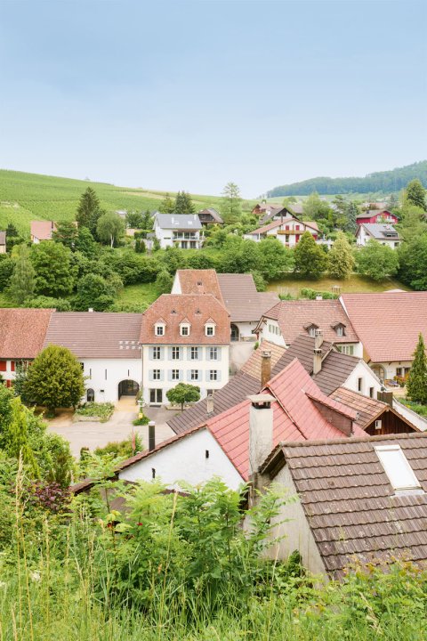 Blick auf das Dorf Wintersingen