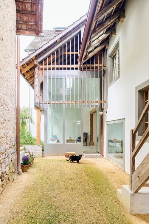 Blick durch einen Innenhof mit einer schwarzen Katze zu einem gläsernen Anbau.