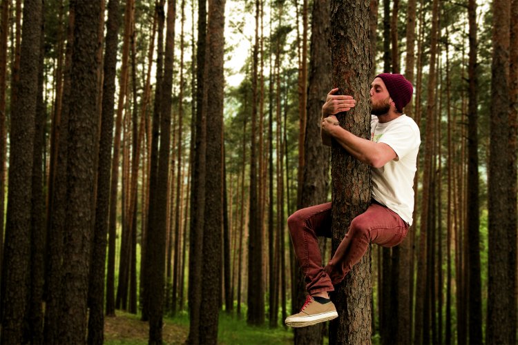Werbekampagne von Standard Nachhaltiges Bauen Schweiz worin ein Mann an einem Baum hängt.