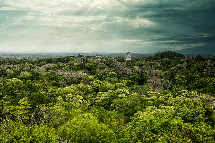 Magische Landschaft um Tikal.