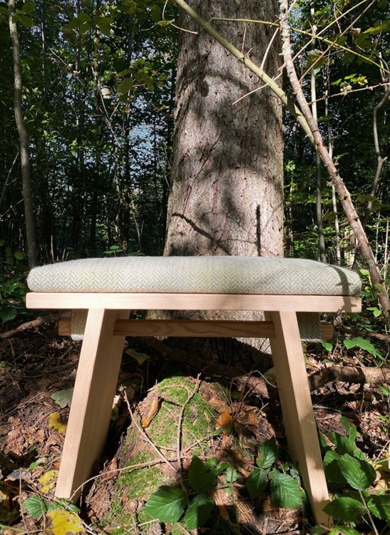 Holzbank mit gepolstertem Sitzkissen steht in einer natürlichen Waldumgebung.