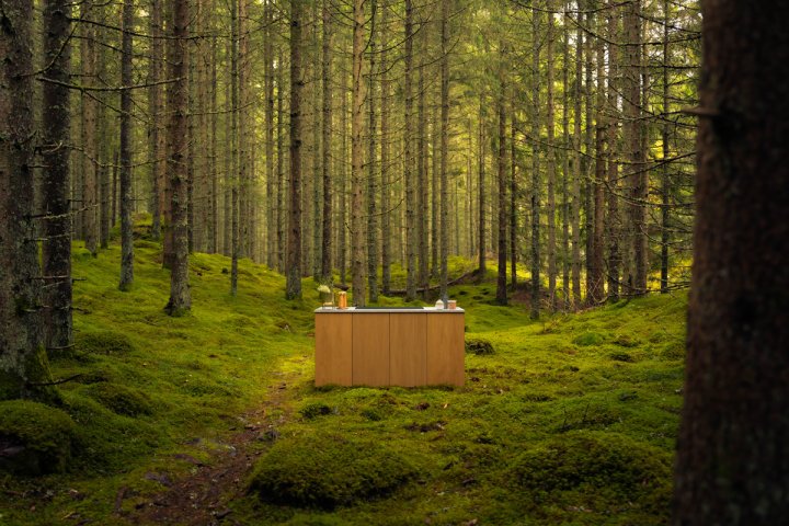 Ein Herd in einem Wald