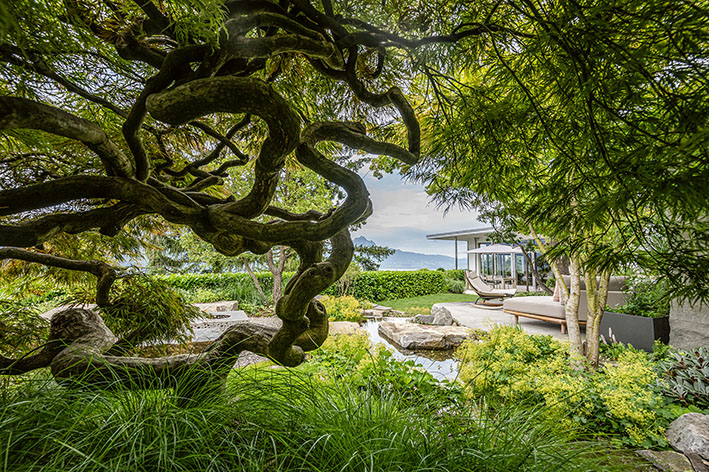 Blick in einen Garten mit Blick auf den Vierwaldstätter See