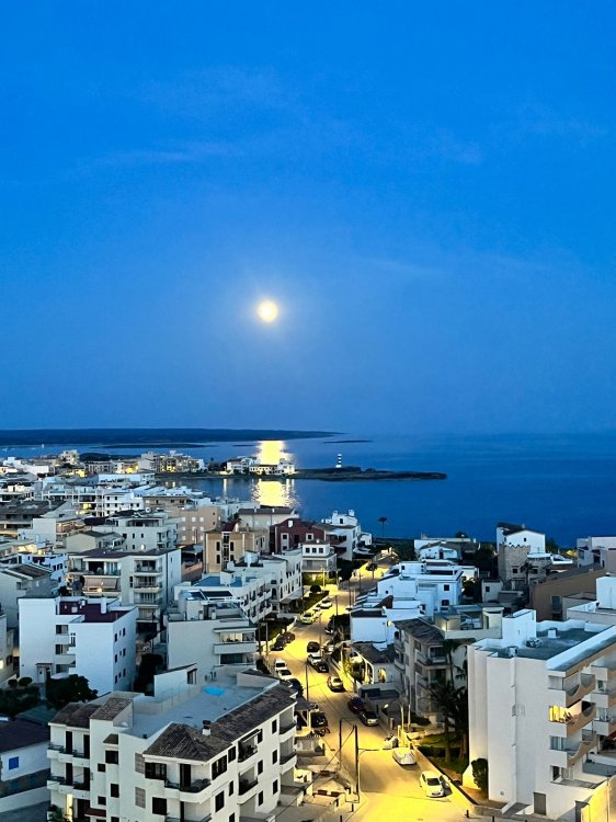 Ein Küstenort mit weissen Häusern, die im Mondlicht schimmern. im Hintergrund das Meer und der Vollmond.