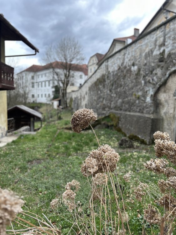 Alte Mauer mit teilweise abgefallenem Verputz.