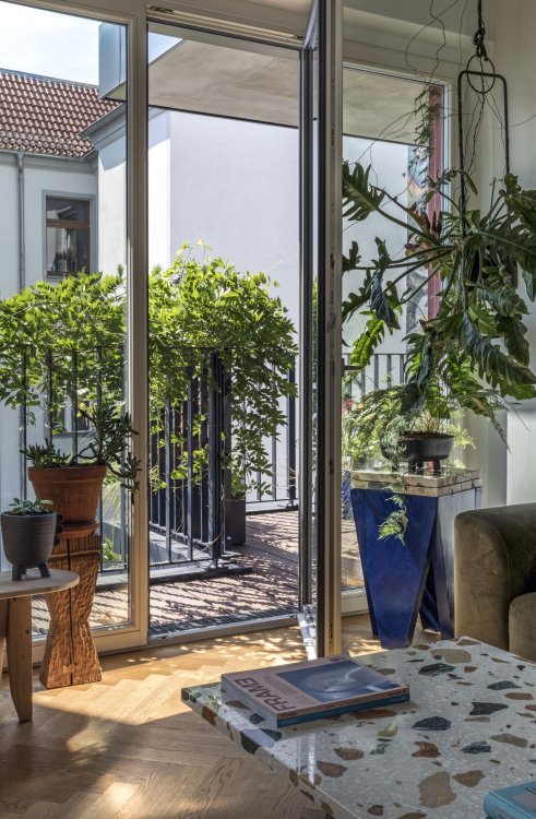 Sicht auf den Balkon mit Pflanzen