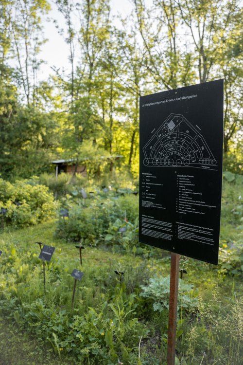 Hinweistafel mit verschiedenen Informationen zu Pflanzen inmitten des Naturgebiets.