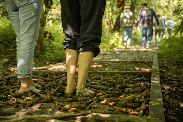 Zwei Frauen gehen barfuss im Wald über einen Pfad mit Tannenzapfen. Im Hintergrund sind noch mehr Personen auf dem Pfad erkennbar.