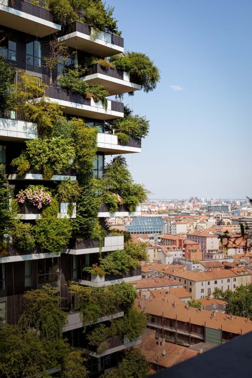 Ein Foto des Hauses Bosco Verticale in Mailand. Die Wände des Mehrfamilienhauses sind mit grünen Pflanzen bewachsen.