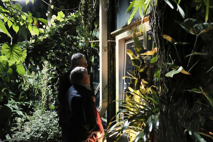Besucherpaar der Museumsnacht Basel vor einem von grünen Pflanzen umgebenen Gemälde im Botanischen Garten Basel.