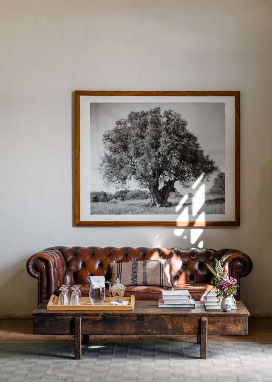 Ein altes braunes Chesterfield-Ledersofa steht im Hotel São Lourenço do Barrocal, darüber hängt eine grosse Schwarz-Weiss-Fotografie eines Eichenbaums.