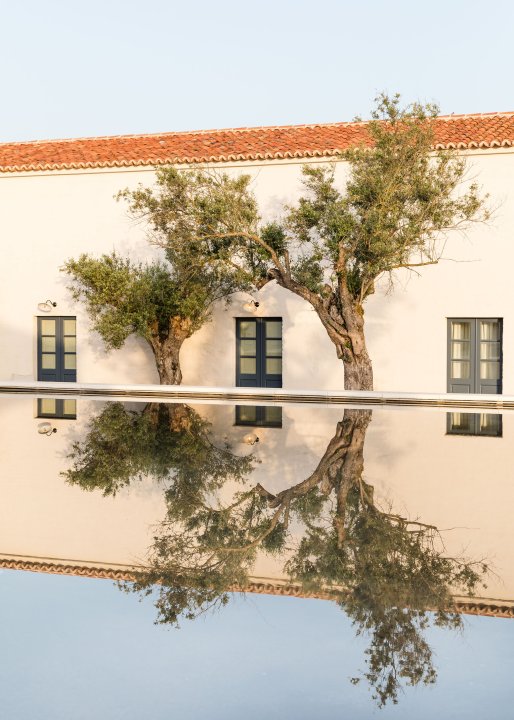 Ein Gästehaus im São Lourenço do Barrocal mit weisser Fassade, zwei alten Olivenbäumen und davor ein grossflächiger, tiefer Brunnen, in dem sich die Architektur und Olivenbäume spiegeln.