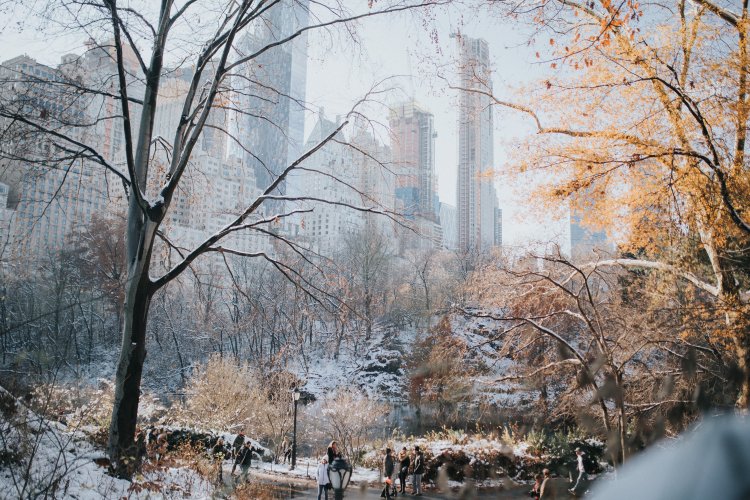 Ein verschneiter Central Park in New York bei Sonnenschein, im Hintergrund die Hochhäuser der Upper West Side.