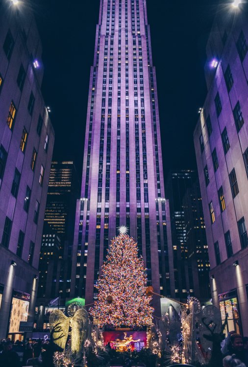 Ein grosser beleuchteter Weihnachtsbaum bei Nacht vor dem violett angeleuchteten Rockefeller Center in New York City.